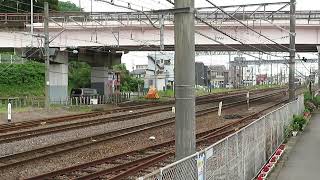 常磐線　E531系K464編成　558M　普通 水戸 行　水戸～勝田　通過　2023.06.11