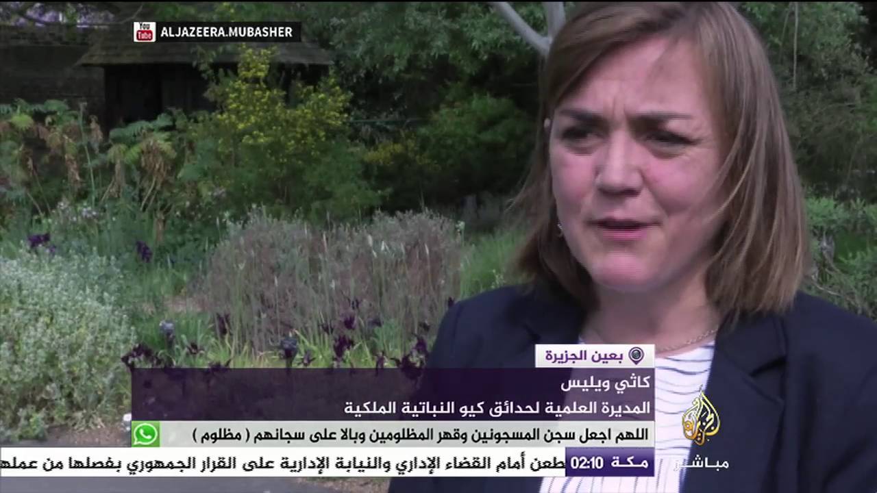 تقرير علمي: خمس الأجناس النباتية في العالم يواجه خطر الاندثار