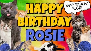 Happy Birthday Rosie! Crazy Cats Say Happy Birthday Rosie (Very Funny)