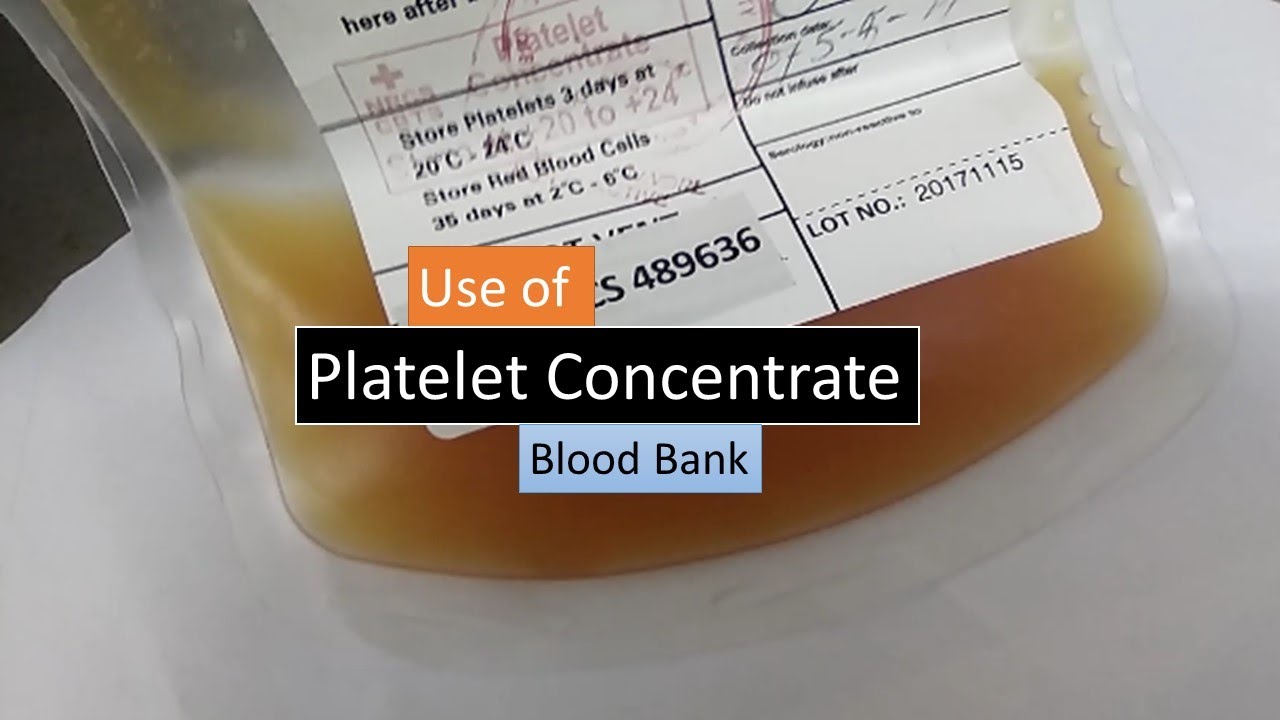 Platelet Concentrate Introduction and uses YouTube