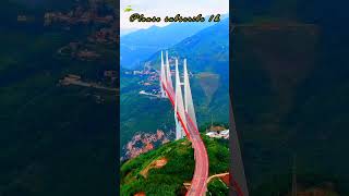 Sharukh Khan Priti Jinda Bollywood Song