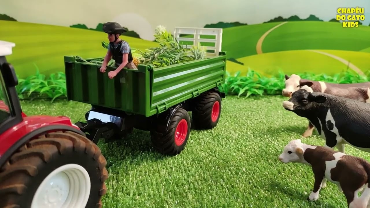 ALIMENTADO OS TERNEIROS NO CAMPO COM O TRATOR #chapeudogato