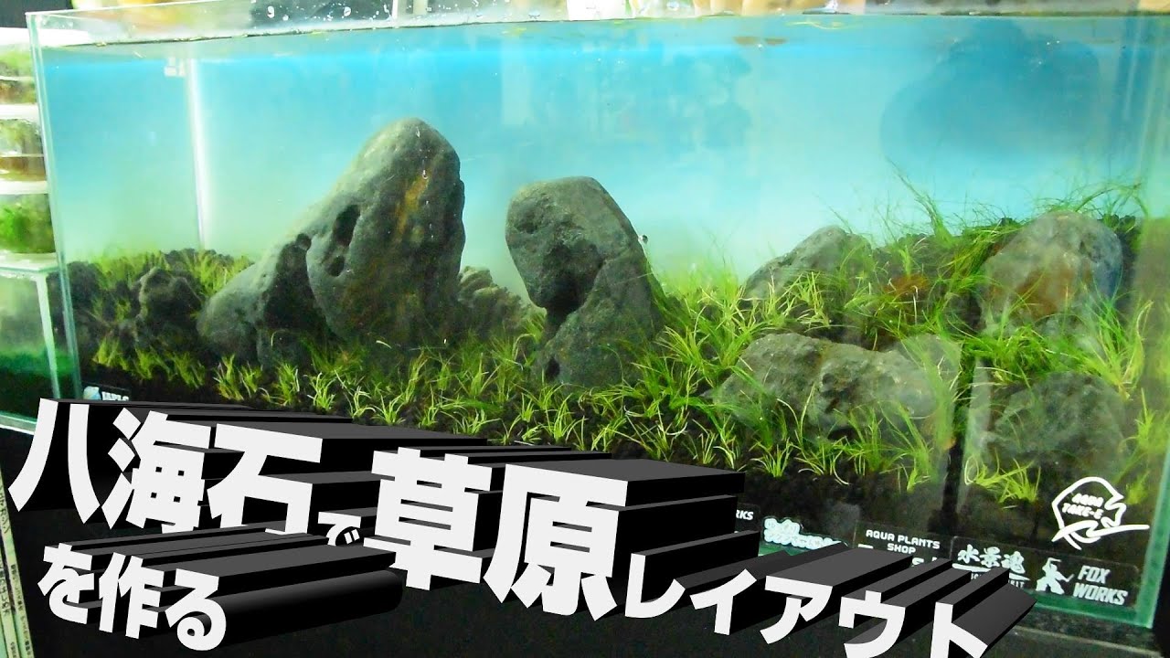 八海石で草原レイアウトを作る。 - YouTube