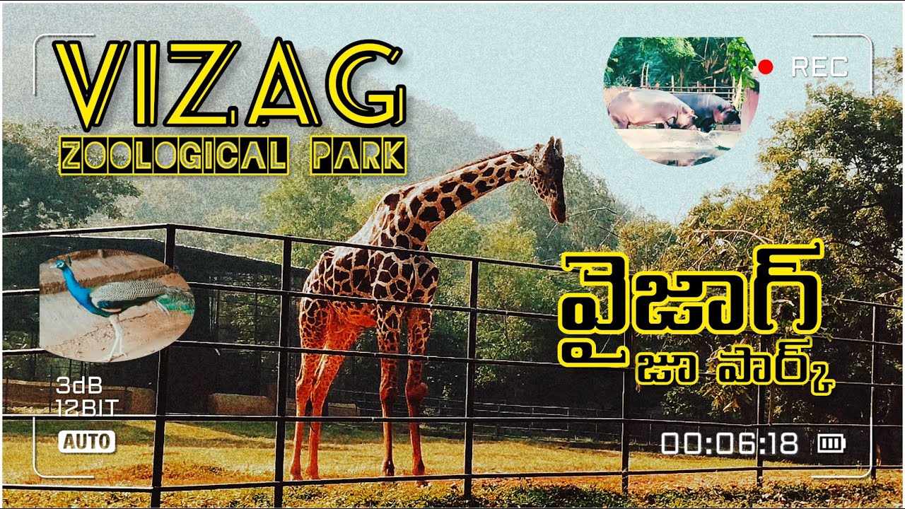 Vizag Zoo Park Indira Gandhi Zoological Park Visakhapatnam Zoo Park vizag-zoo-park-indira-gandhi-zoological-park-visakhapatnam-zoo-park
