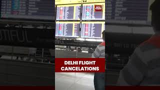Delhi Airport Witnessed Flight Cancel Issue | Airlines | Iran-Israel Conflict #iranisraelwar #iran
Delhi Airport Witnessed Flight Cancel Issue | Airlines | Iran-Israel Conflict #iranisraelwar #iran Delhi Airport Witnessed Flight Cancel Issue | Airlines | Iran-Israel Conflict #iranisraelwar #iran