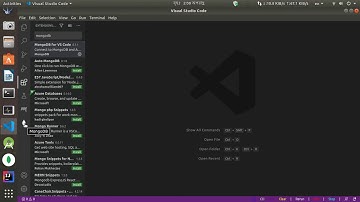 Mongodb plugin with VSCode