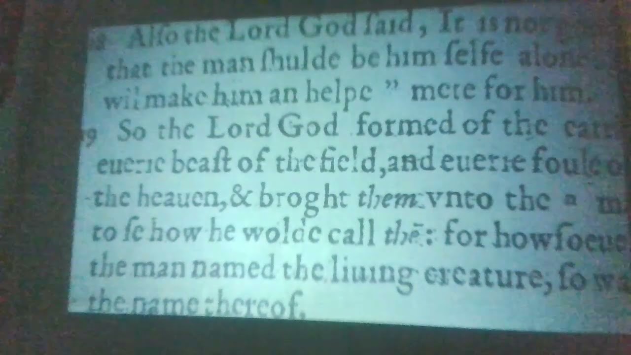 Genesis Chapter 2 Verse 18 19 YouTube Genesis Chapter 2 Verse 18 19 YouTube