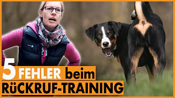 Was tun wenn Hund Rückruf ignoriert?