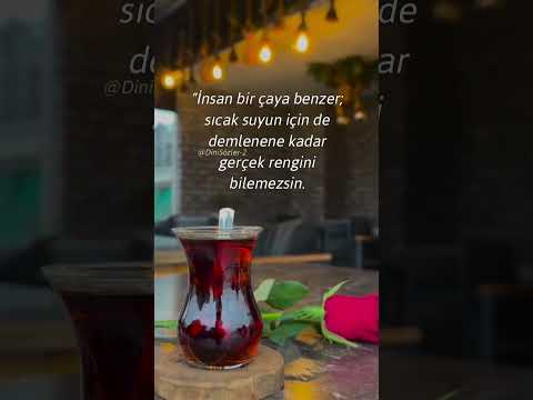 İnsan bir çaya