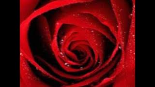 LOS SECRETOS (NO ME IMAGINO)