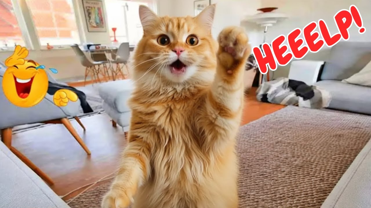 WARNING… Who’s in charge of the chaos: the 