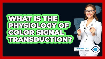 What Is The Physiology Of Color Signal Transduction?