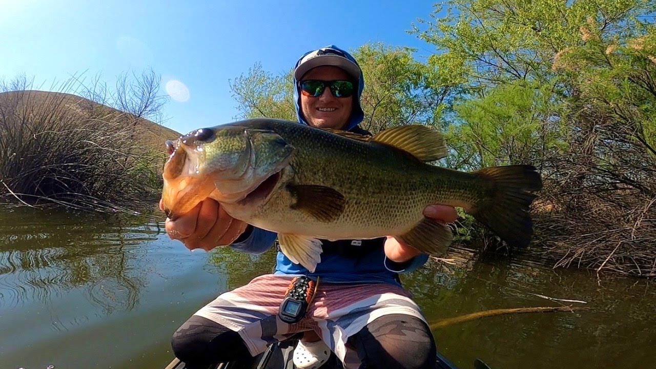 California Largemouth Bass Fishing with a Popper! (Old Town Kayak)