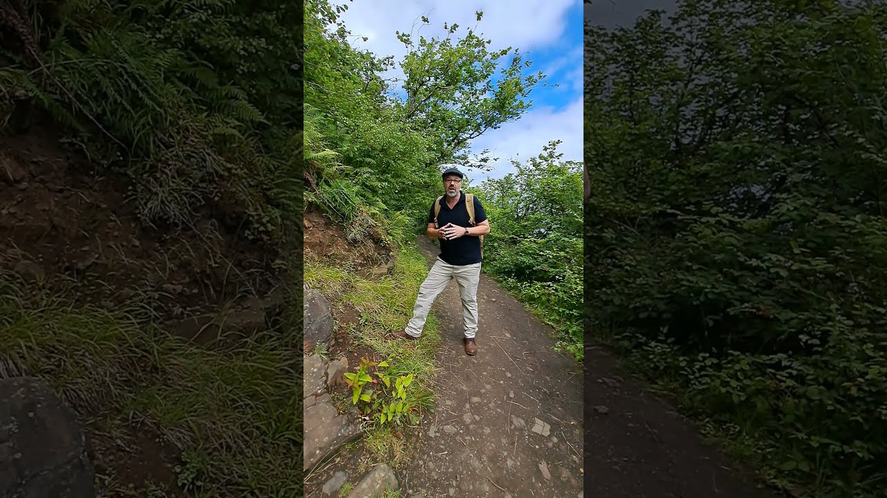 Isle of MULL LAVAS *Close Up* 