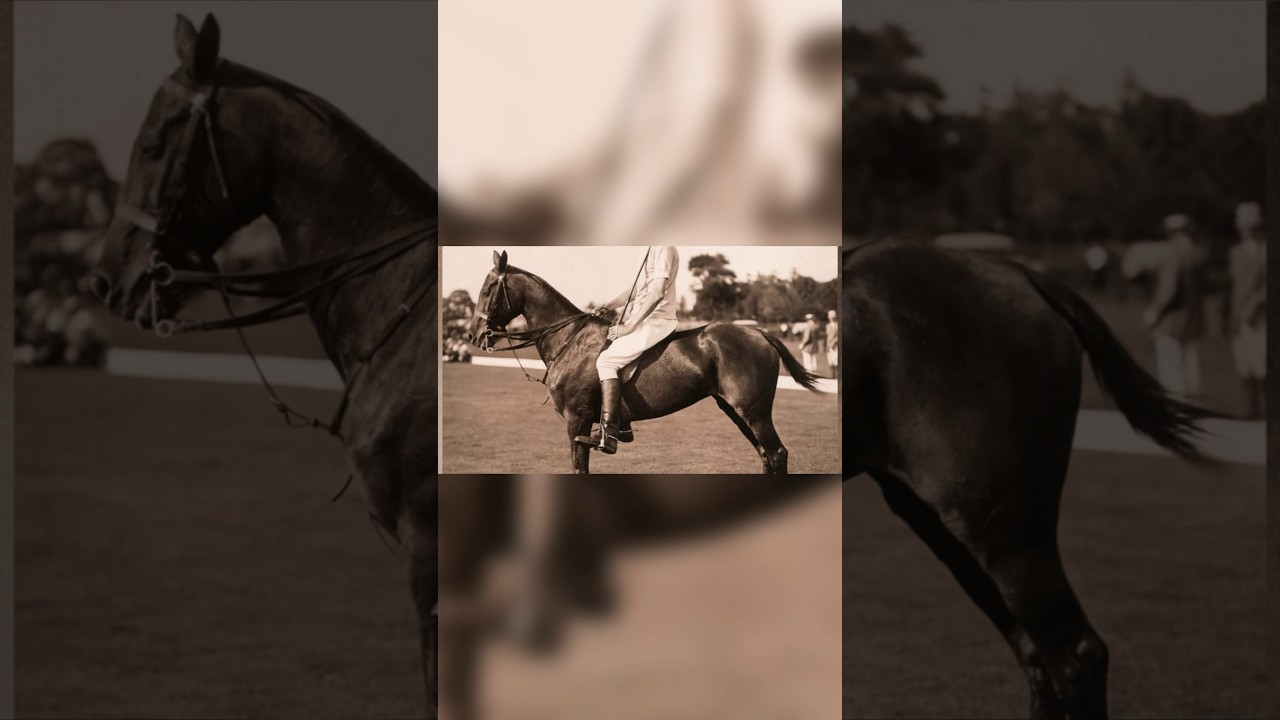 Находятся ли левши в невыгодном положении???