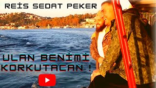 Sedat Peker - Ulan Beni mi Korkutacan  (Otnicka Mafia Beat)