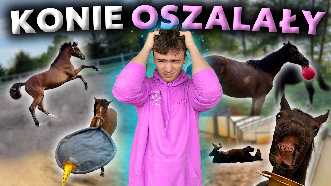 KONIE MNIE ATAKUJĄ!