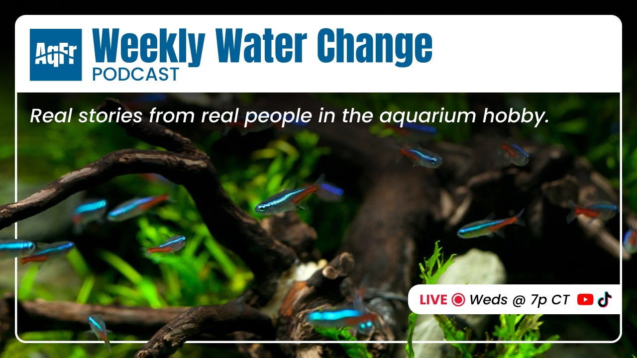 Weekly Water Change Podcast by AquaFindr