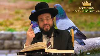 מסכת קינים תשפ"ד קן מפורשת פרק ג' משנה א'