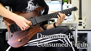 【Dreamshade】Consumed Future【Guitar Cover】