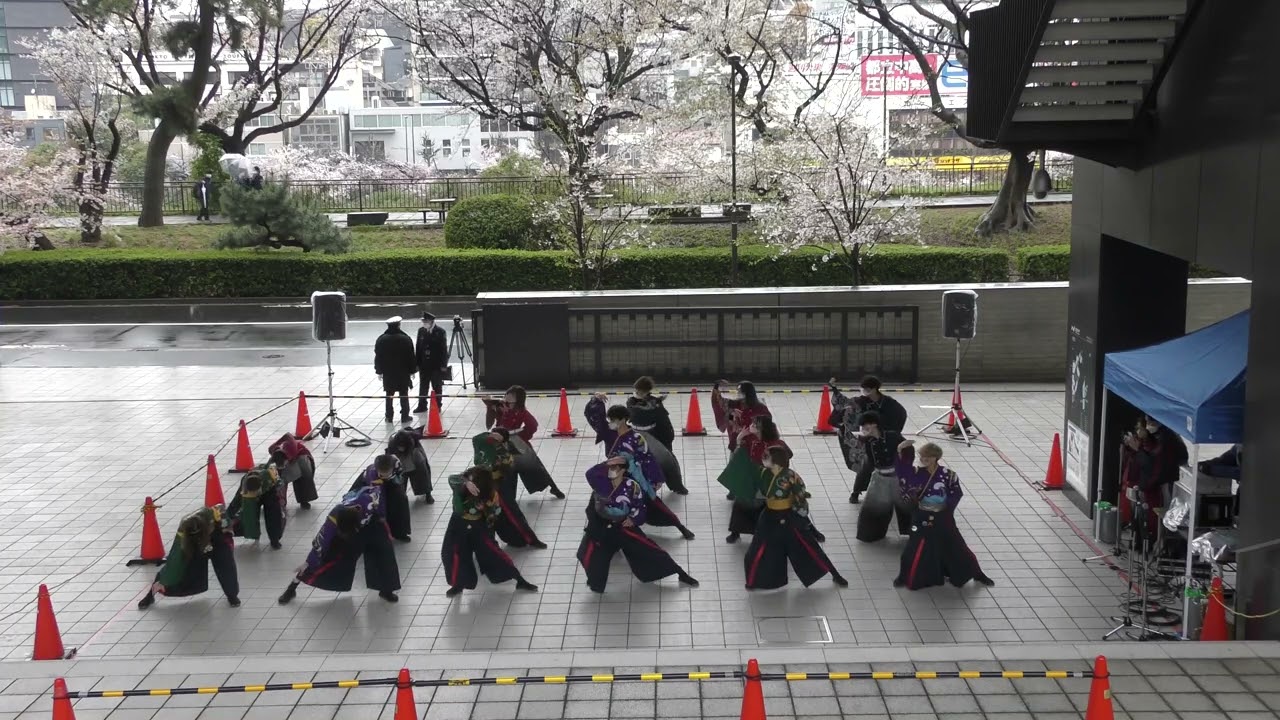 公式 鳳遙恋21 極彩色 新歓祭1日目 正門広場前 Youtube