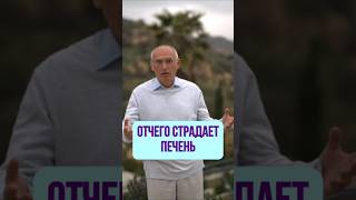♻️ Отчего страдает печень.Торсунов О. Г.