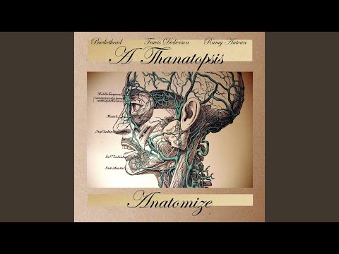 Simper (feat. Buckethead & Travis Dickerson)