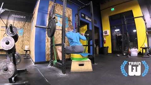 Box Squat with Bands  Dynamic Effort