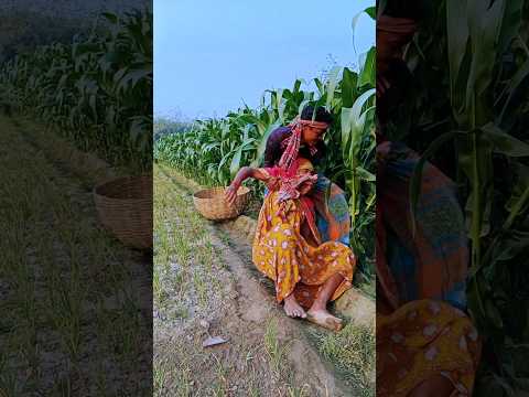 The girl was alone then.#villagefunny520 #shorts #funny #comedy #trending #viralvideo