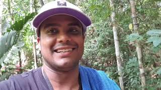 Krabi, Thailand Day 3 (Hot spring waterfall, Emerald pool, Tiger cave temple hike).