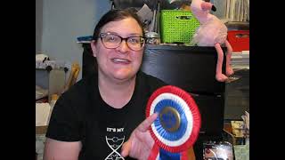 Flosstube:  Season 5, Episode 18 -  Crazy Woman Stitchin Retreat and Progress