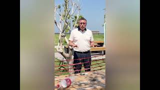 Sanat Eserinin Sergisi Sona Erdi, Şimdi Sıra Cezada