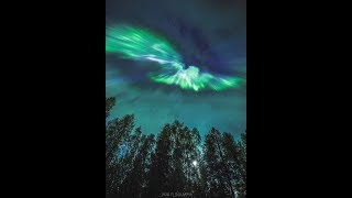 Full S.Mandelker PhD: Core Topics #4: Collective Karma News