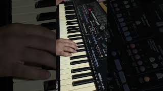 HAVASKOR TV,,,,,nukei-navo