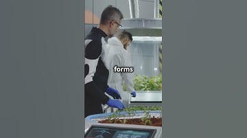 Synthetic Life Forms: Designing Life in the Lab