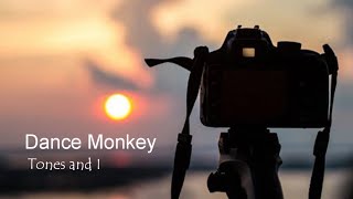 Download Lagu Dance Monkey - TONES AND I - DANCE MONKEY (Lyrics)