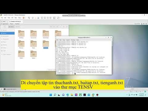 Video Lab4 | Quản lý tập tin và thư mục trong Linux. - youtube