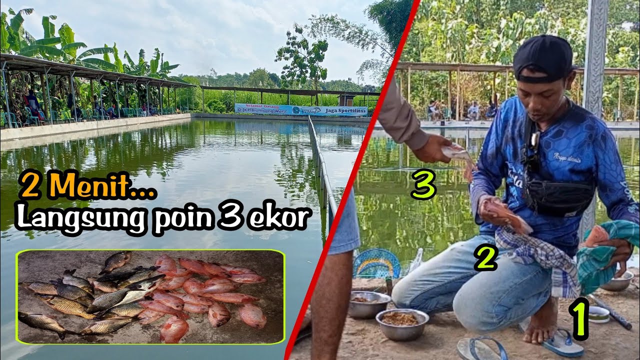 STRAIK BERTUBI TUBI,ARISAN NILA 2,5 KW DI Kp BLUMBANG WARU!!