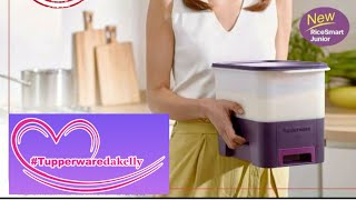 Modular Arroz Smart 5Kg Tupperware, seu novo sonho de consumo 😍