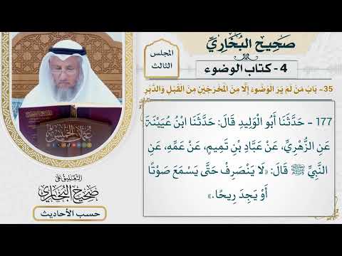 [177] حديث: لا ينصرف حتى يسمع صوتًا أو يجد ريحًا [كتاب الوضوء - باب من لم ير الوضوء إلا من المخرجين]