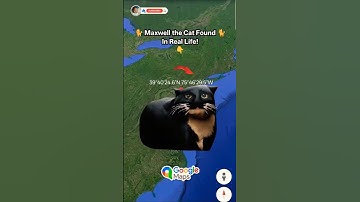 Maxwell the Cat In Real Found On Google Maps and Earth #shorts #earth #maps