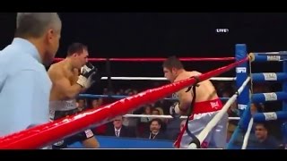 Ruslan Provodnikov vs. John Molina Highlights - Provodnikov vs Molina Highlights (Promo)