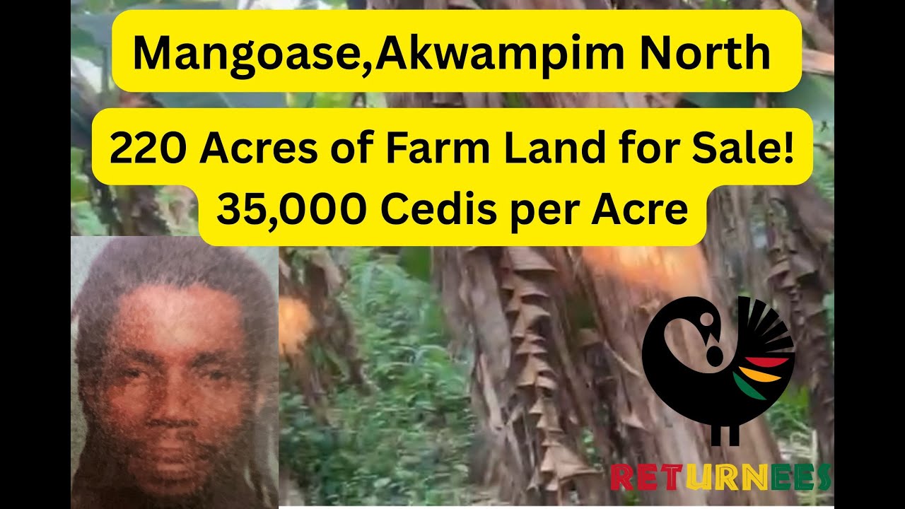 Mangoase Kwapim North, Ghana, 222 Acres of Farm Land for Sale | GHANA
