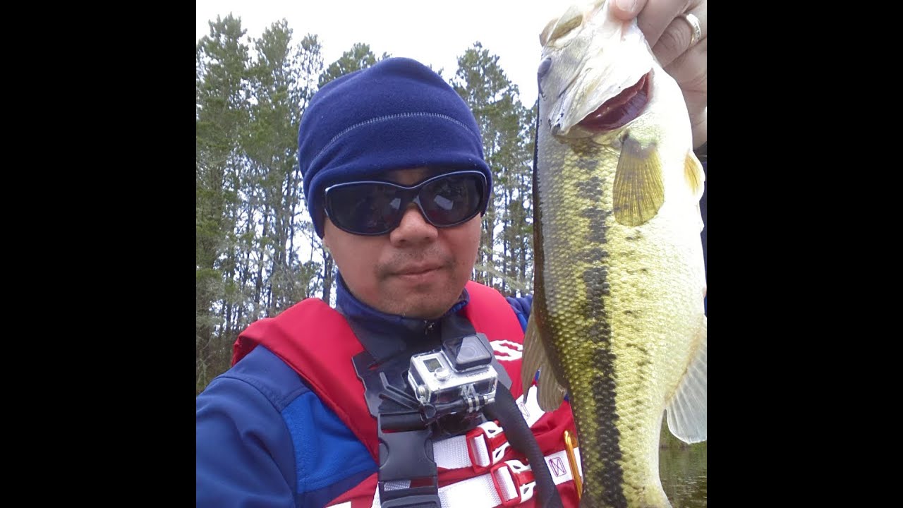 oregon coast bass fishing YouTube