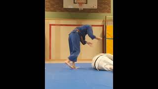 Judo/Nice Seoi Nage/Классный Бросок через спину/#Shorts