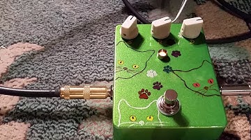 Super White Auto Wah DIY Pedal