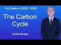 The Carbon Cycle: Key Processes and Roles in Ecosystems