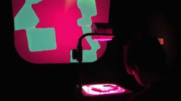 The Manual Input Workstation (2004, 2012)