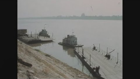 News Item (7d5fd512-73d0-6936-21bc-74b8ae4af9a8)