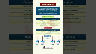 Port Security Explained | Switch Security Basics